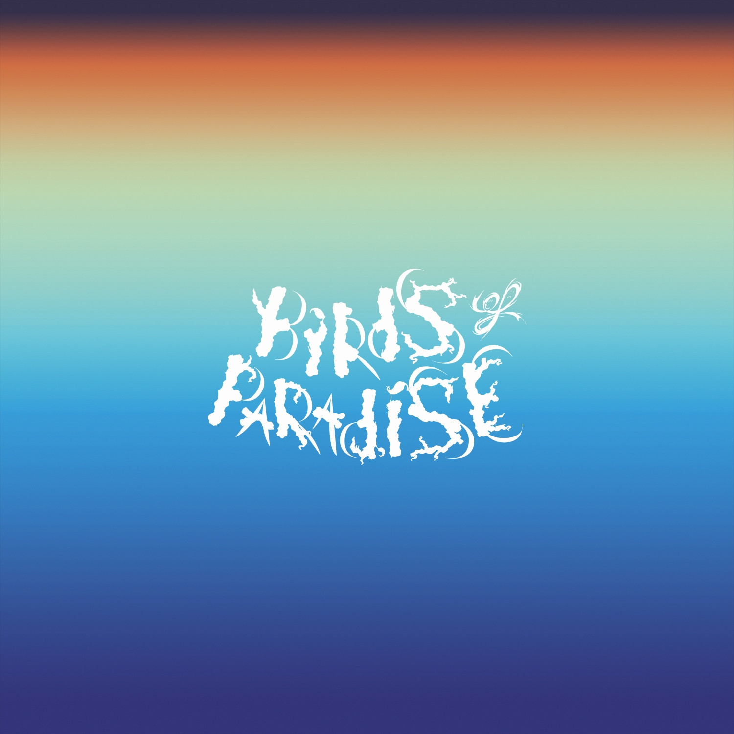 birds of paradise.jpg
