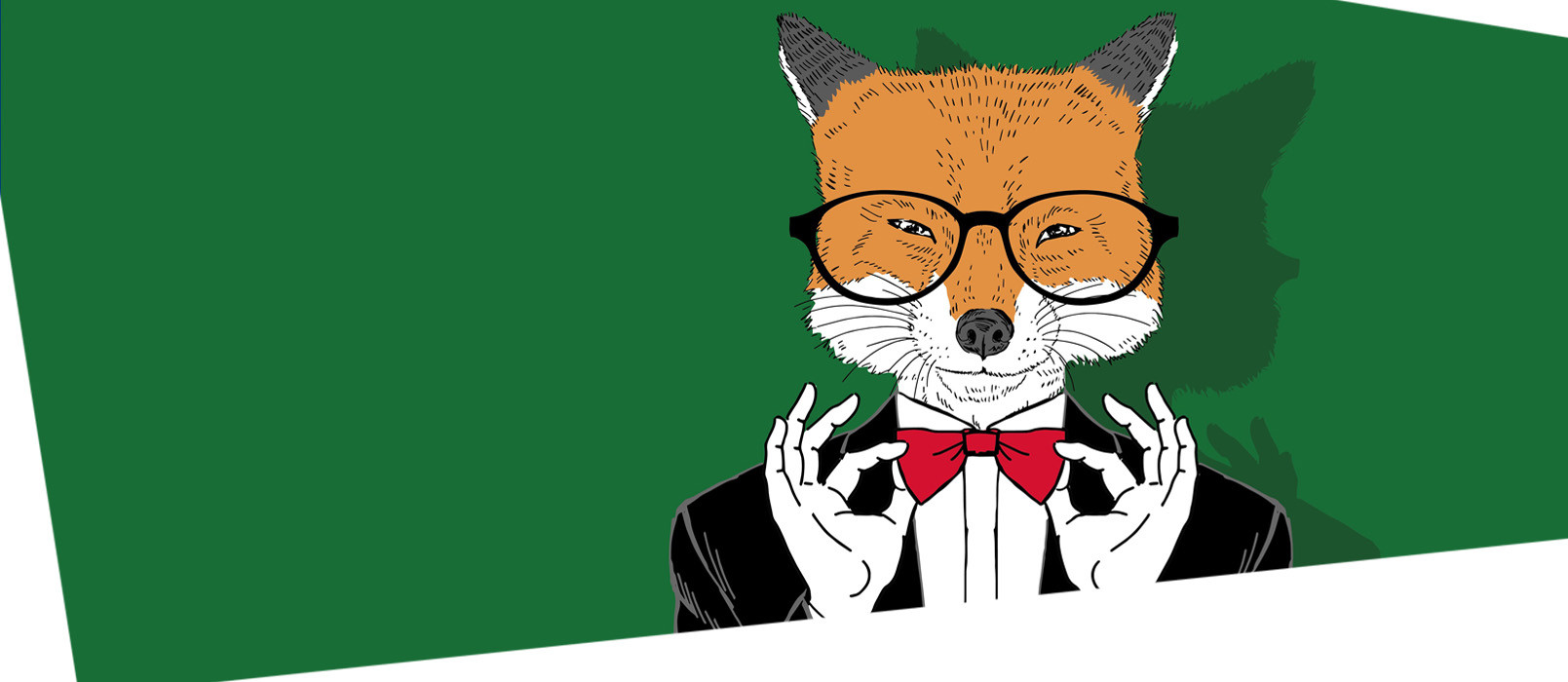 reinaert-header-groen.jpg