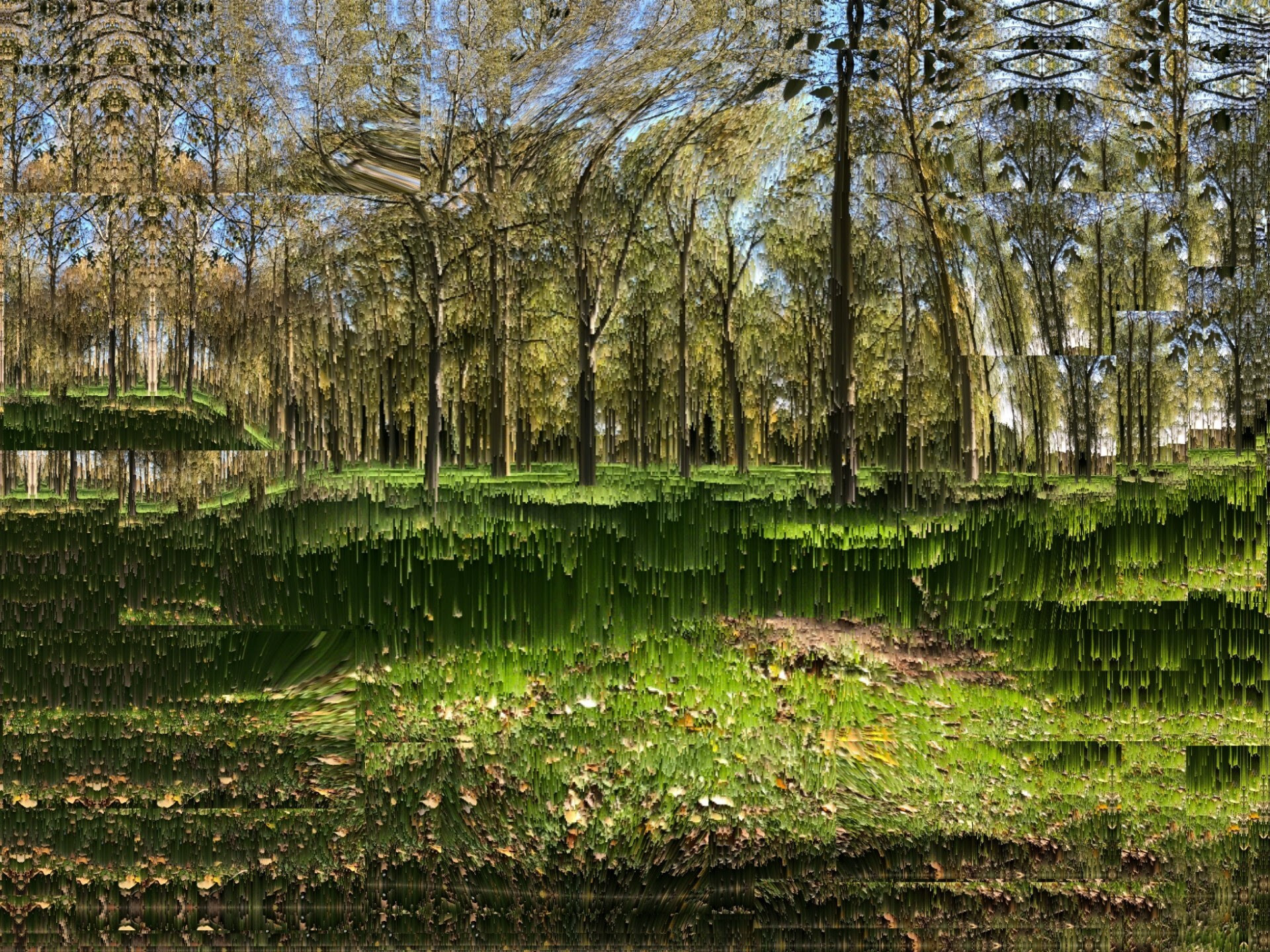 roots-branches.jpg