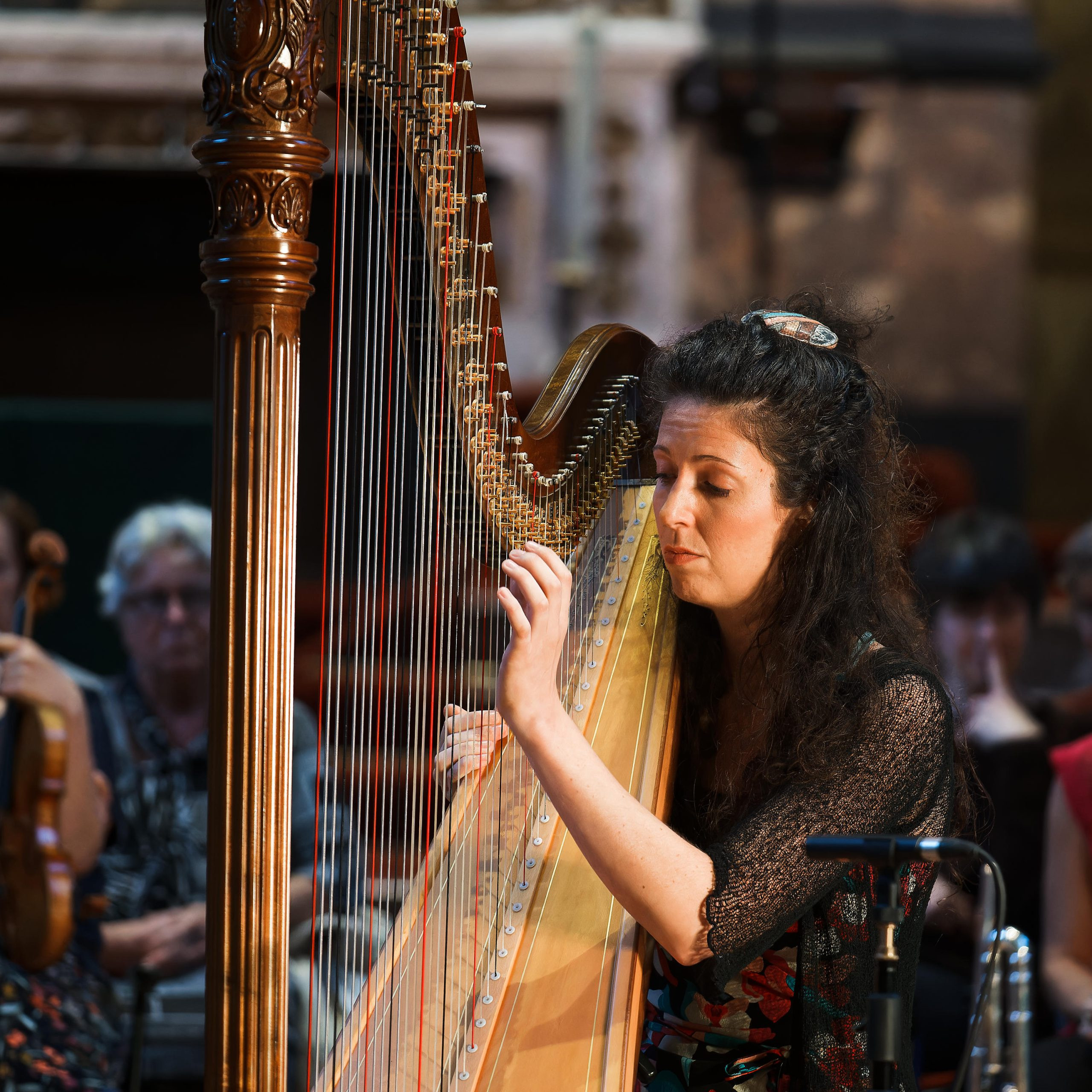 20230731_Een-Harp-onder-de-Riem_1447-scaled.jpg