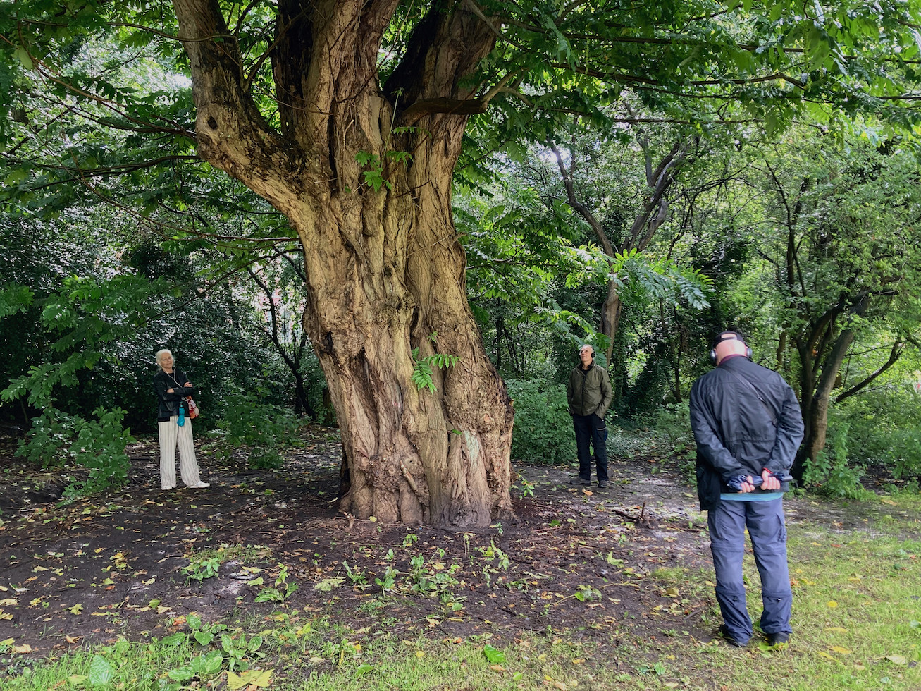 Avian Humanoids_Oosterpark.jpeg