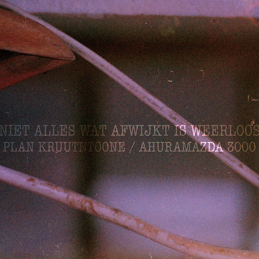 niet alles wat afwijkt is weerloos.jpg