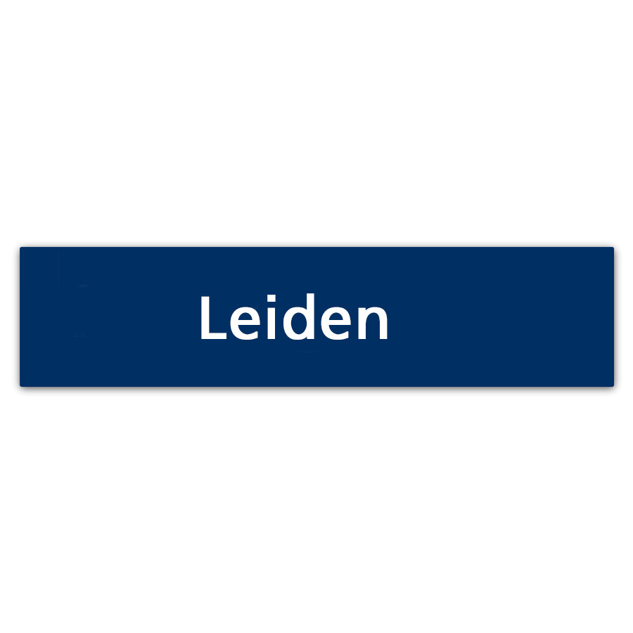Leiden.jpg