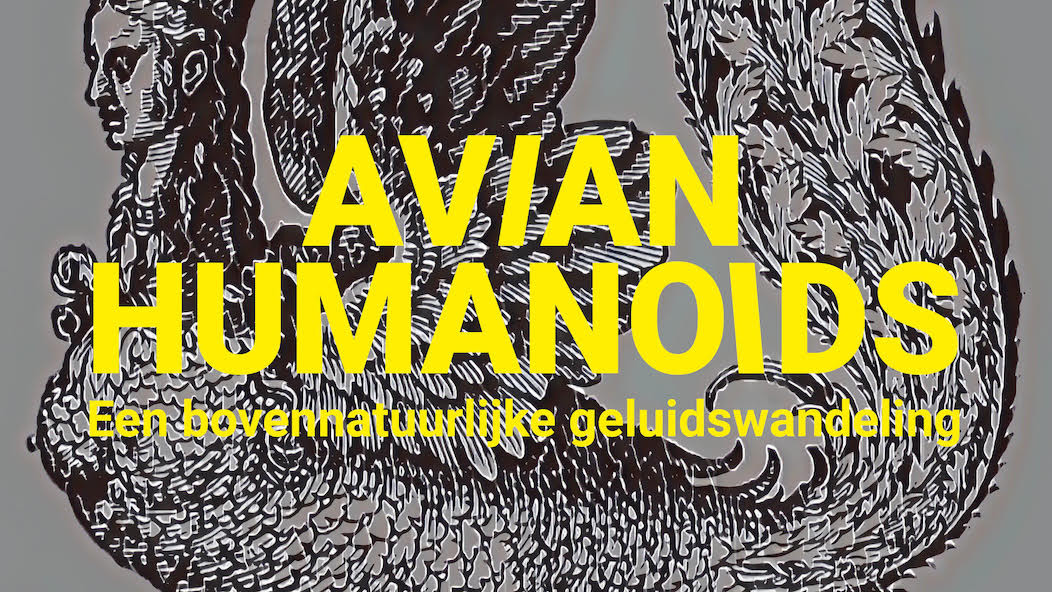 avian humanoids.jpg