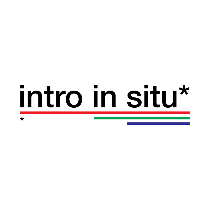 Logo Intro in Situ.png